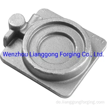 Customized Hot Forged Hubing -Teile